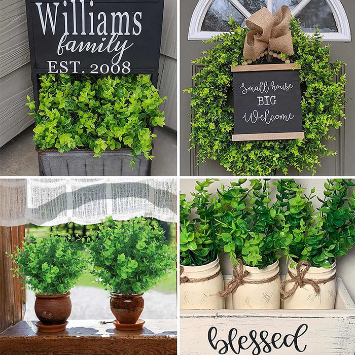 Wholesale Clearance! Bulk UV - Resistant Boxwood Bush Plants for Outdoor Use