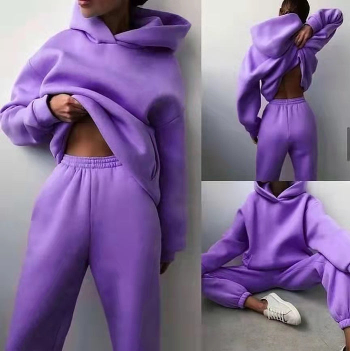 Purple / 2XL