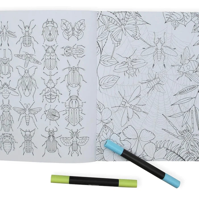 Wonderful Insects Coloring Book